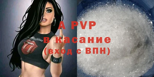 ГАЛЛЮЦИНОГЕННЫЕ ГРИБЫ Переславль-Залесский