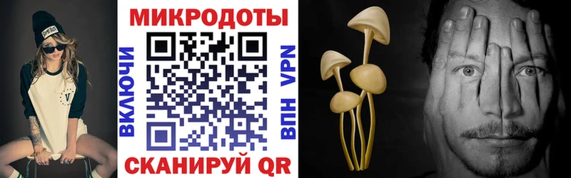 Псилоцибиновые грибы Cubensis  нарко площадка клад  Каменск-Шахтинский  купить наркотик 